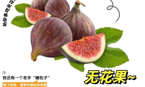 川乌草乌的功效与作用及禁忌-川草乌有哪些副作用网- 川乌草乌的副作用知识,分享川乌草乌外用功效